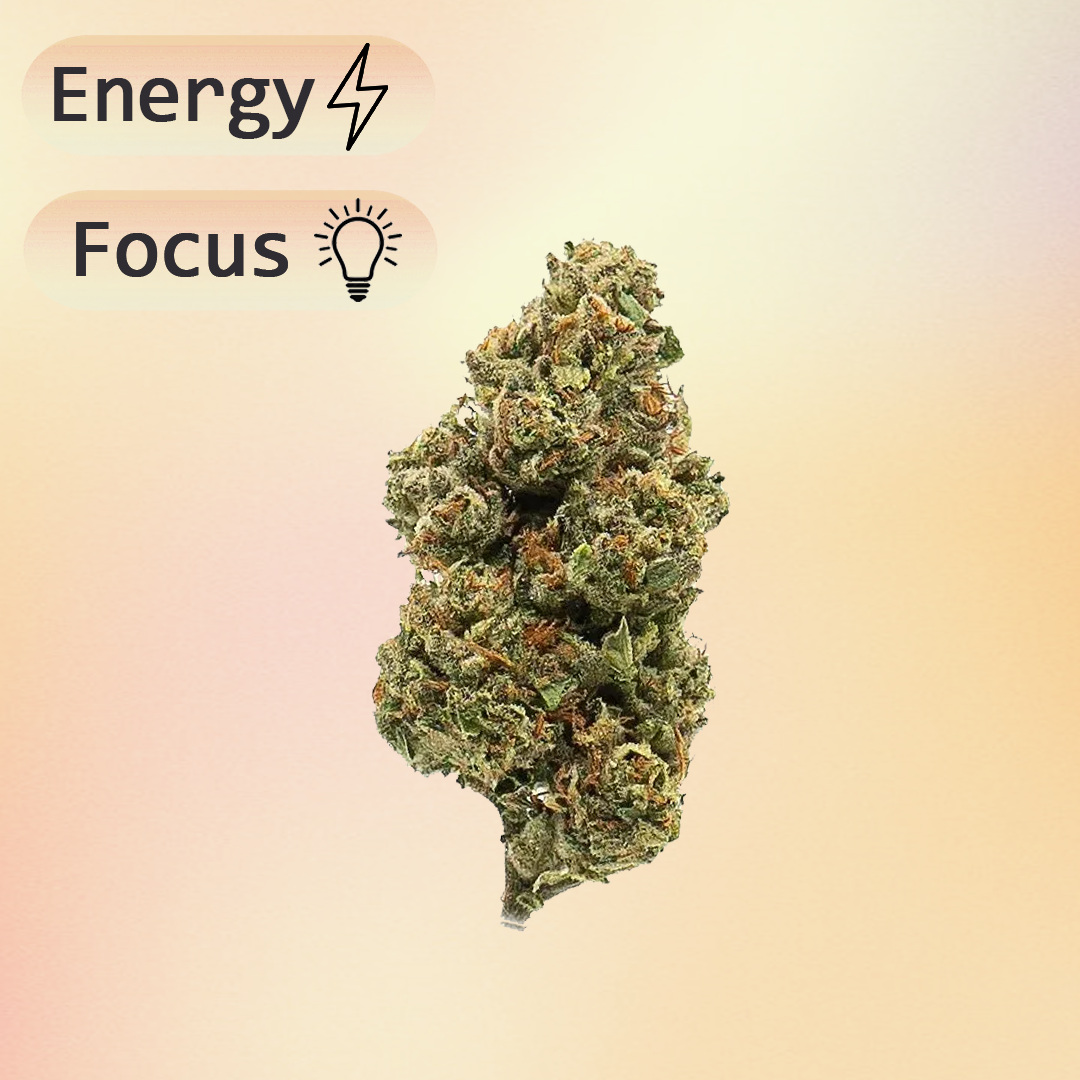 Tangerine Dream Hemp Flower