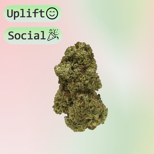 Watermelon Candy Hemp Flower