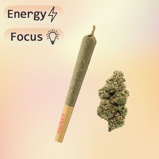 Tangerine Dream CBD Pre-Rolls