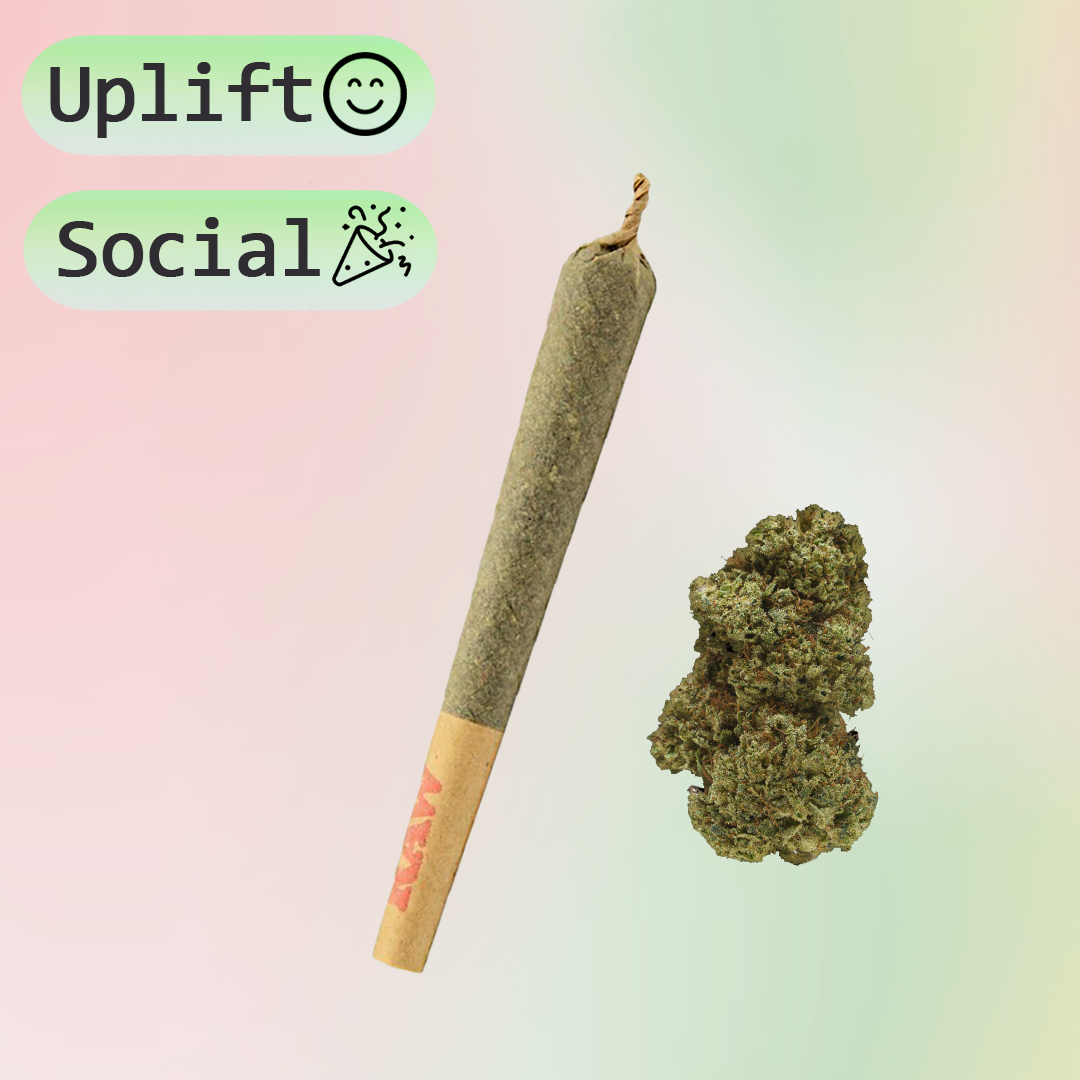 Watermelon Candy CBD Pre-Rolls